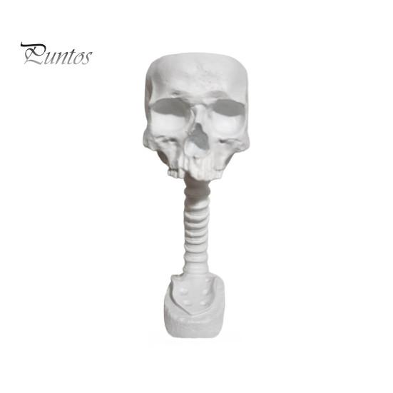 Alternative Home Gardening Pots Gothic Skull Planter for Succulents Pothos, Creative Skeleton Flower Pot with Dark Decor Living Room Spine Column,