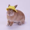 Felt Small Animals Bucket Cap With Ear Holes Pet Clothing Accessories Hamster Fisherman Hat Breathable Lightweight