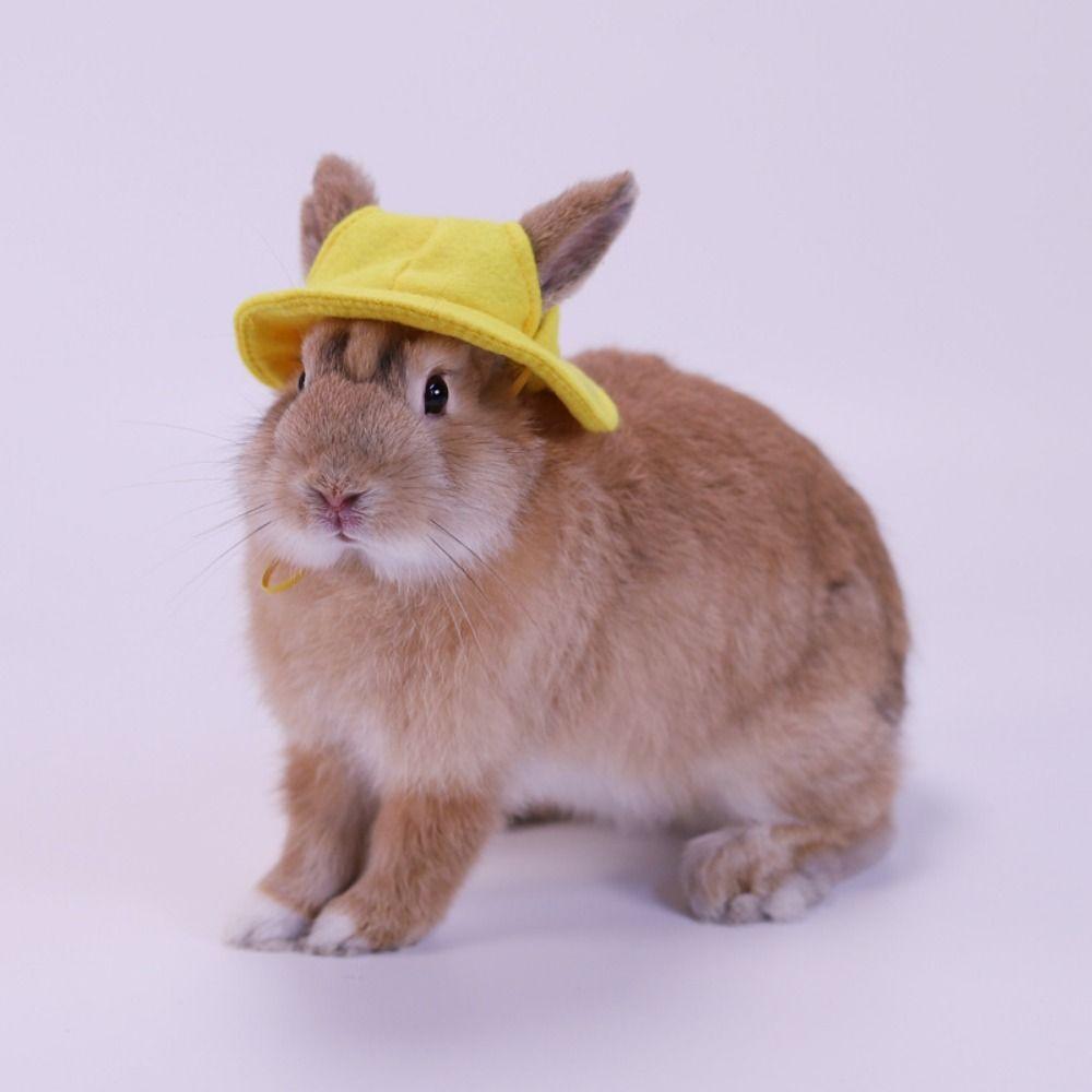 Felt Small Animals Bucket Cap With Ear Holes Pet Clothing Accessories Hamster Fisherman Hat Breathable Lightweight