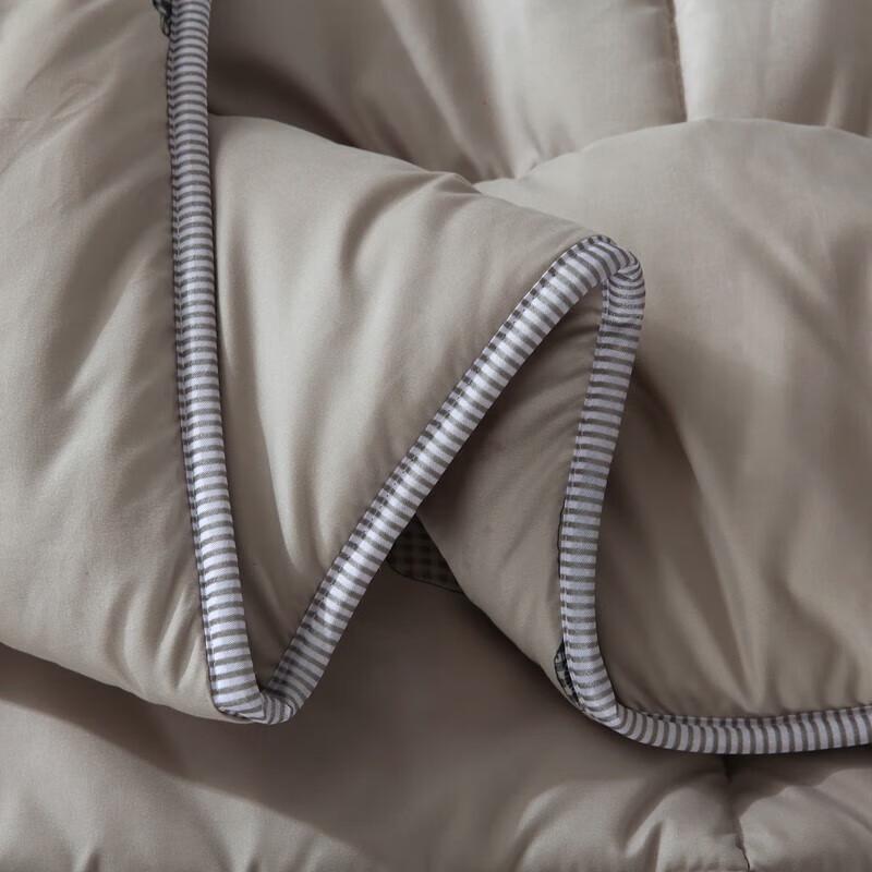 Muxinzi Sanded Autumn/Winter Thick Quilt