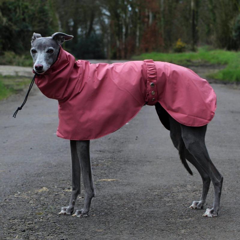 Wasserdichte Hundekleidung Haustier Hundeponcho Regenmantel Große Hunde Regenmantel Haustiere Hunde Zubehör Windjacke Kleidung Produkt Zubehör