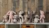 Mary Meyer Patty Nursery Panda 42650