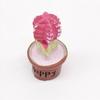 1:12  Garden Decoration  Cute  Resin  Garden Accessories