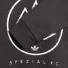 Adidas Spezial FC Sweatshirt Utility Black Men Tops Grey JE6091