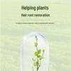 Solución Nutritiva Revitalizante Universal para Plantas - Para Rosas, Árboles del Dinero y Plantas en Maceta - Promueve el Crecimiento y Revitaliza las Hojas Amarillentas.