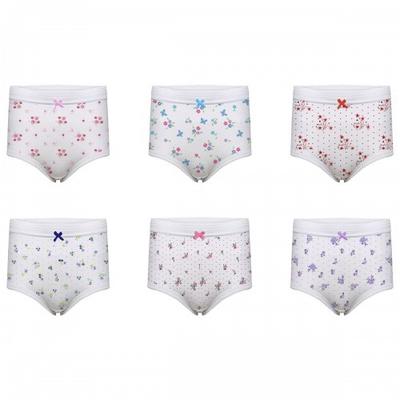 Harte & Soul Womens/Ladies Floral Briefs (Pack of 6)