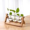 Creative Hydroponic Flower Vase: Wooden Stand & Glass Container for Desktop Plants