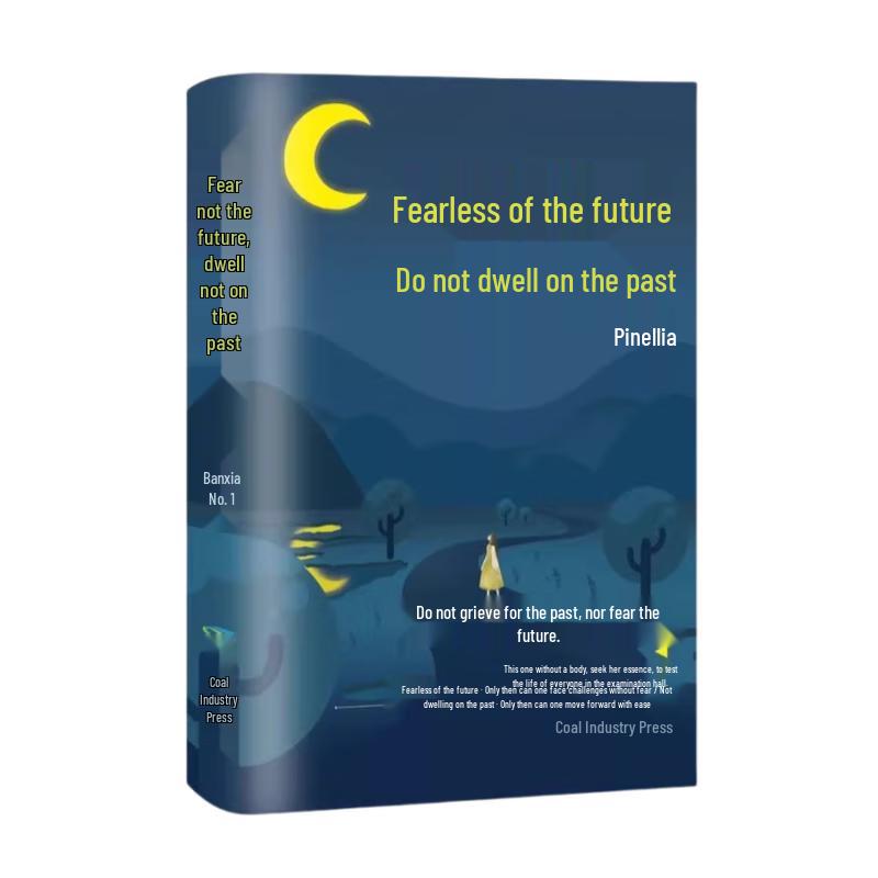 Fear Not the Future, Dwell Not on the Past Inspirational Motto