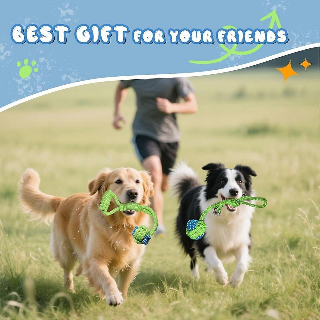 5 Pack Dog Rope Toys, Interactive Tough Chew Toys for Small and Medium Dogs, Clean Teeth and Relieve Boredom, Tug of War, Aggressive Chewers, Cotton R