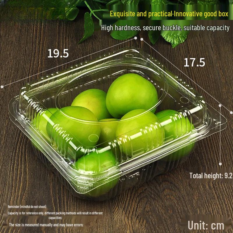 Handun Disposable Round Fruit Container