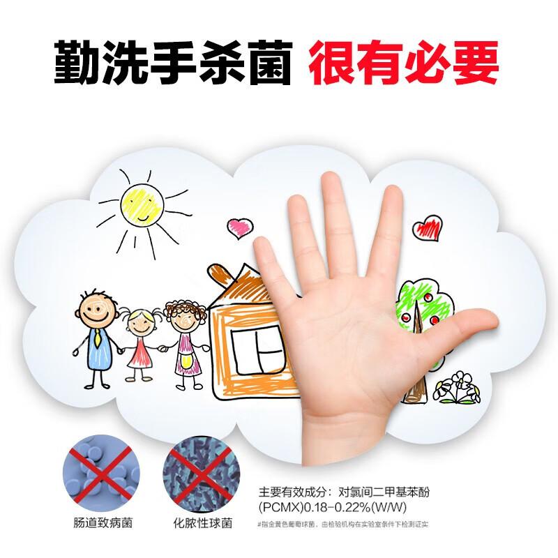 

Walch Foaming Antibacterial Hand Wash