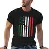 Mexico Flag 4th July USA Mexican Flag T-Shirt Modern Print T-Shirt