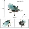 Oenux Simulation Dragonfly Grasshopper Centipede Wild Insect Animals Model Action Figures Miniature Education Collection Kid Toy