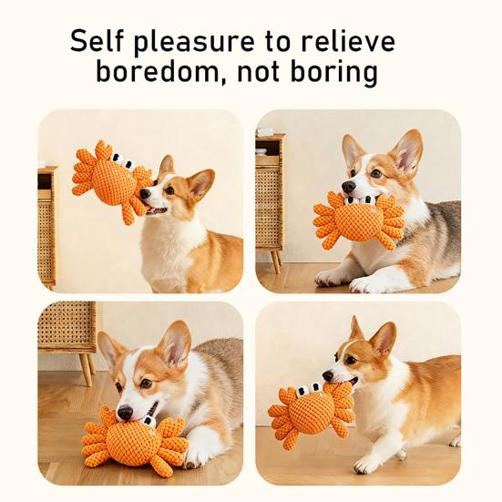 Interaktives Hundestofftier Quietschendes Stofftier Meeresbewohner Weiches Kauspielzeug Schildkröte Krabbe Seestern Welpen Zahnungsspielzeug für mittlere Kauer Indoor-Spiel