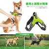 2024 Newest Rechargeable Reflective Dog Harness with Dog Comfortable and Breathable for Night and As a Vest Harness for Small and Cats Handle,