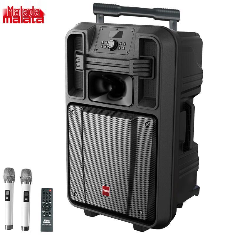 Malata Portable Outdoor Bluetooth Guitar & Karaoke Speaker
