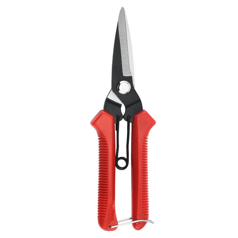 Stainless Steel Pruning Shears - Sharp Garden Scissors for Flower, Plant & Bonsai Trimming, Red Non-Slip Handle Gardening Tool