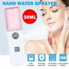 Mini Portable Beauty Facial Steamer Face Sprayer Salon USB Rechargable Mist New
