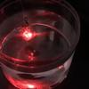 1-4pcs Mini Fishing Lure Light LED Attracting Fish Light Underwater Eye Shape Fishing Squid Fishing Bait Luminous Lure