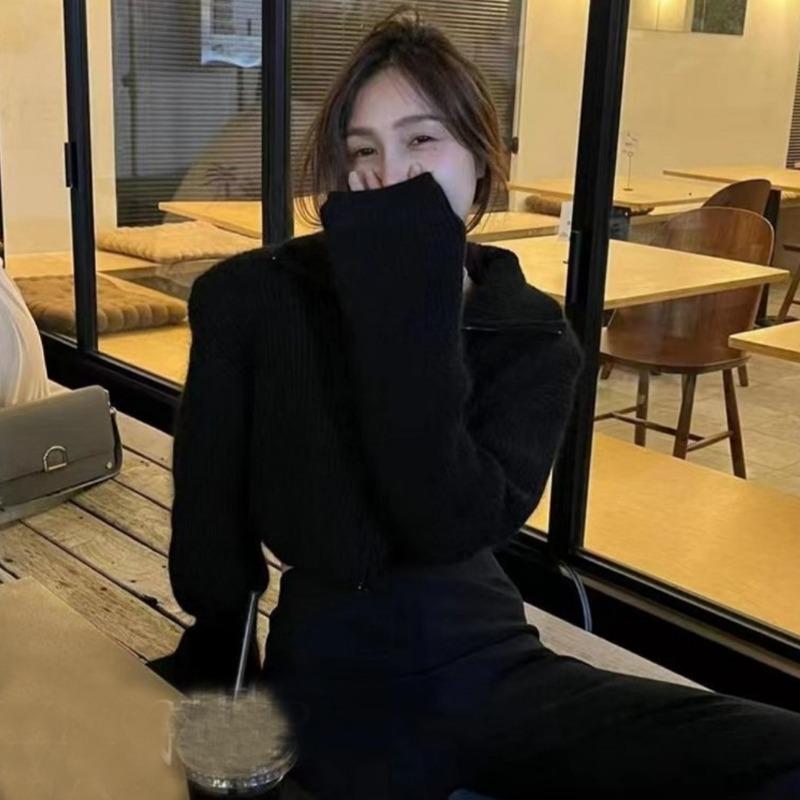 

2024 Осень Зима Кардиган на молнии Короткий свитер Куртка Новая мода Водолазка Длинный рукав Женские укороченные пальто Кардиганы Повседневные вязаные свитера 2212 One Size чёрный