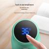 Philips Temperature Display Insulated Bottle