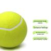 Giant Inflatable Pet Tennis Ball