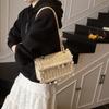 High-end woven bag women's new summer fashion fringed shoulder small square bag versatile messenger bag