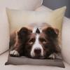 Printed Pet Animal Cushion Cover Scotland Border Collie Soft Plush Pillowcase Decor Cute Dog Pillow Case for Sofa Car