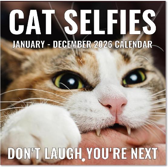 2026 Wall Calendar - Funny Cats Calendar 2026, 12  x 24  (Open), Jan 2026 - Dec 2026, 12-Month Calendar, Lovely Cat Selfies Calendar, Unruled Blocks, 2026 Cats Calendar