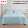 Hengyuanxiang Cool-Touch Antibacterial Washable Tussah Silk Comforter