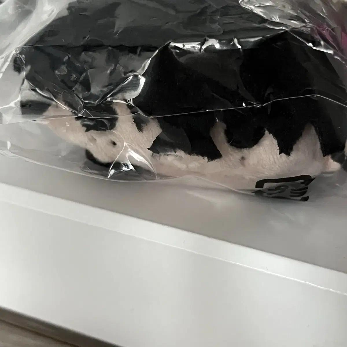 

Sakamoto Days Sakadei Natsuki Tsumutsumu