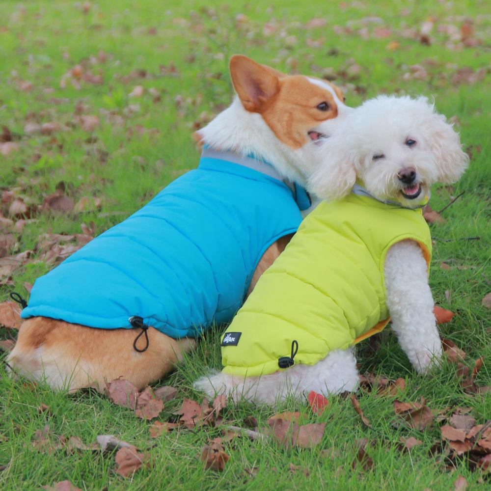 Autumn and winter than bear corgi puppy clothes thickened warm pet down jacket small dog cotton jacket