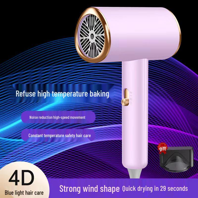 High-Power Handheld Hair Dryer: Internet Celebrity Style for Home & Hotel