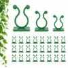120PCS Self Adhesive Plant Climbing Wall Fixture Small Medium Large Mini Vine Support Clips Compact Reusable Wall Plant Support