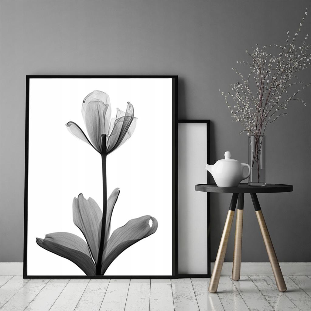 Picture Poster In a Frame 53x73 Cm Flower P1041
