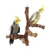 Allazone Set de 6 Suporturi Naturale pentru Păsări pentru Papagali Peruși Canari Cockatieli