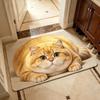Absorbent Entryway Rug Diatomite Pet Floor Mat Practical Cat Print Doormat  Hallway