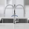 Kitchen Faucet with Pull-Out Sprayer