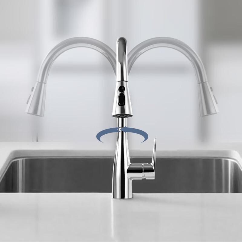 Kitchen Faucet with Pull-Out Sprayer