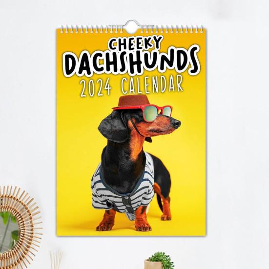 

Настенный календарь Cheeky Dachshunds с забавным принтом собаки, просторное место для письма с отверстием для подвешивания, календарь для собак на 2024 год