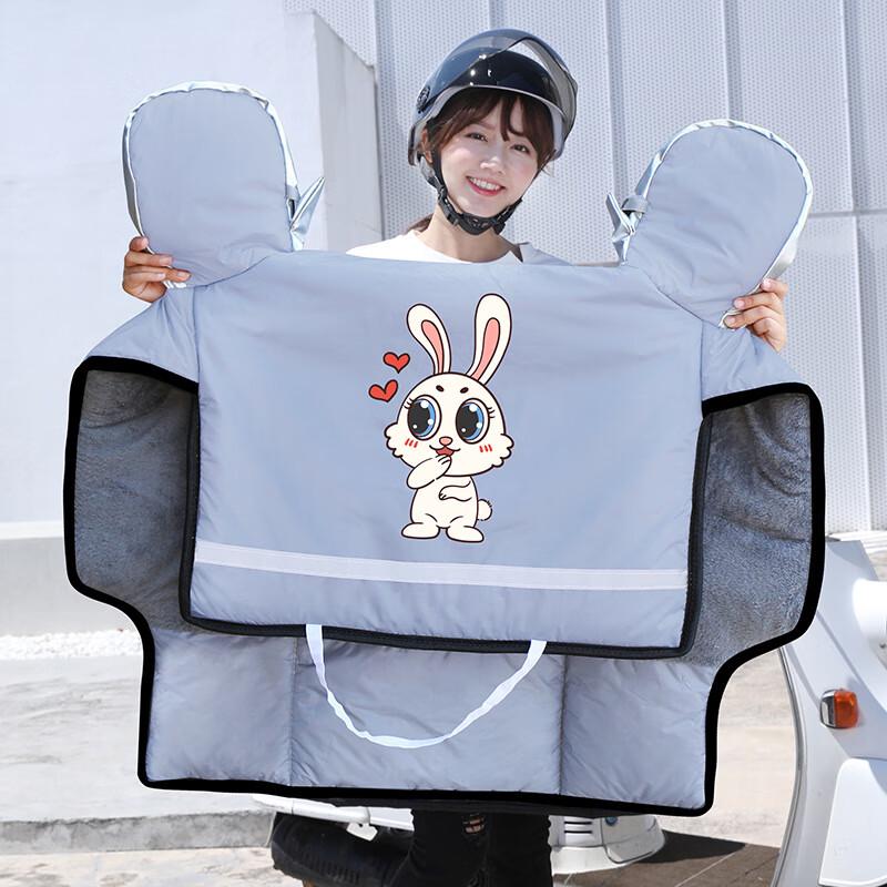 

DUTRIEUX Winter Electric Scooter Windproof Cover