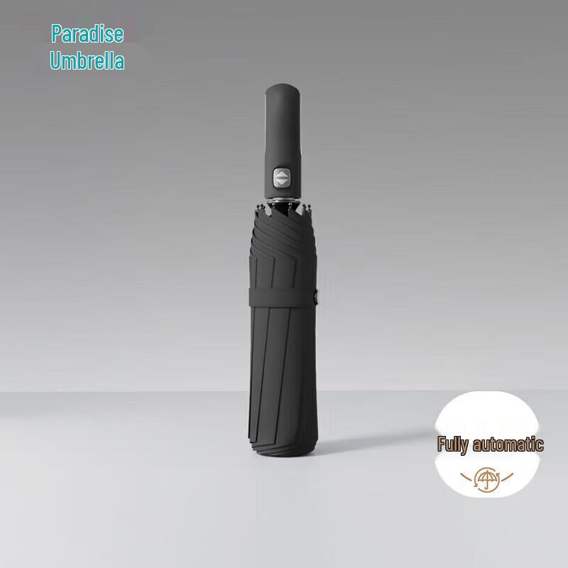 Heaven Umbrella Automatic 10-Rib Reinforced Travel Umbrella