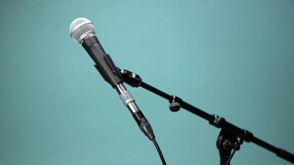 And Clear Sound Easily Increase Microphone Sound Triton Audio FetHead Transformer Microphone Amplifier Preamp Mic Preamp Dynamic Microphone Noise