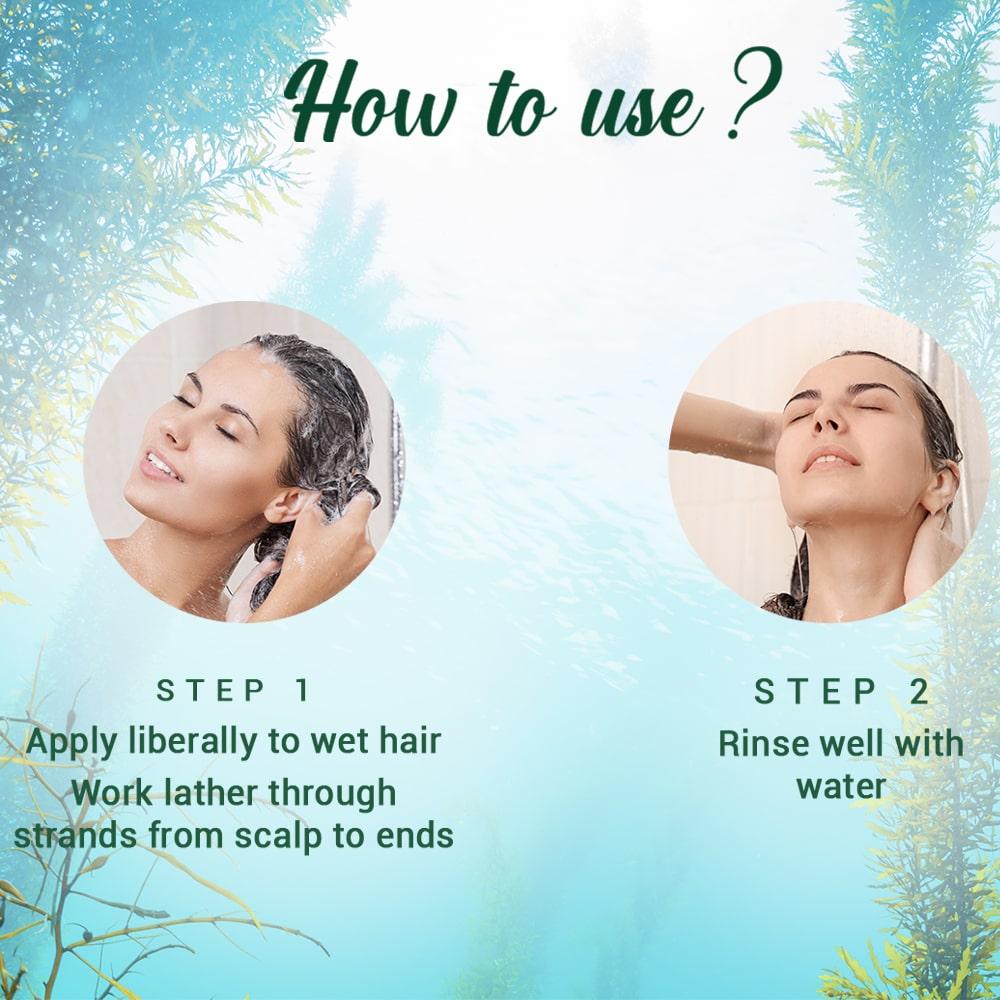 Biotique Ocean Kelp Anti Hairfall Shampoo 650ml | Natural Hair Growth Therapy | Strengthens & Shines | 100% Botanical Extracts