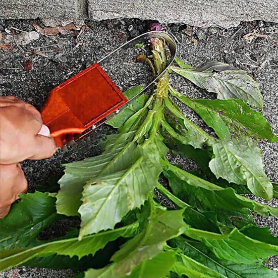 Désherbeur à boucle manuelle en acier inoxydable Outil manuel de désherbage à boucle pour désherbage et ameublissement de jardin et de cour