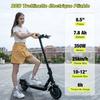 RCB R17 Electric Scooter for Adults 500W, Foldable 8.5", LCD Screen, APP, Dual Brake and Shock Absorber