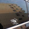 Pike Hunter Fish Car Sticker Reflective PET Decal