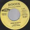 7inch Record LITTLE JOHN  What Is Katty MSC328240 Roots Tradation Jamaica Reggae Ska  Dub Used