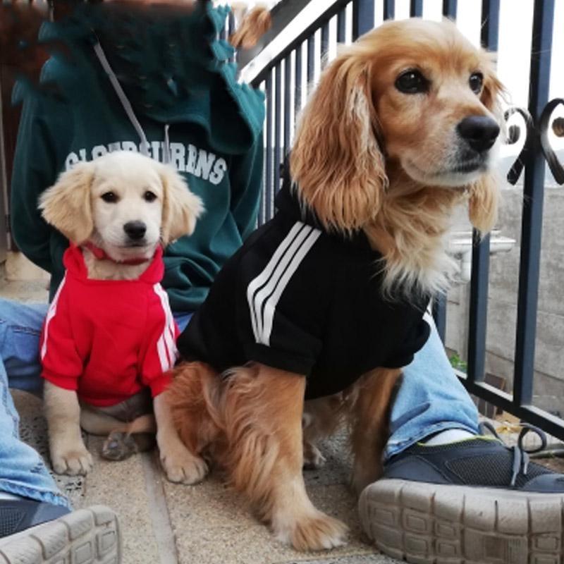 Roupas para cães de estimação, macacão quente para cães, gatos, filhotes, esportes ao ar livre, roupas grossas, casaco com capuz para animais de estimação