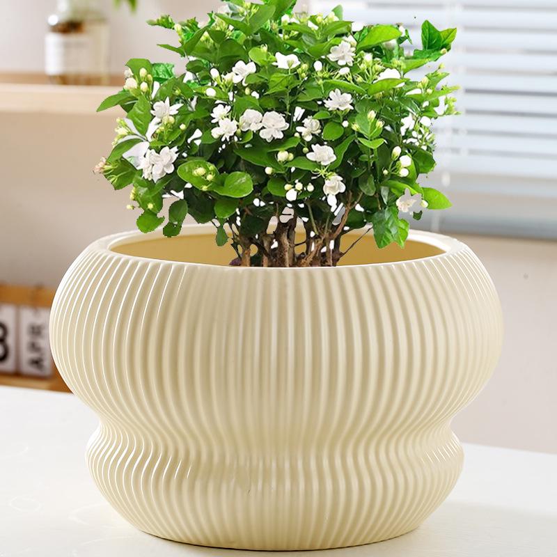 Large Creative Ceramic Flower Pot with Tray - Ideal for Chlorophytum & Succulents